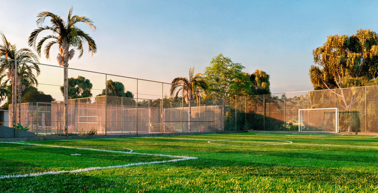 Campo gramado
